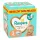 Pielice Pampers Premium Care 6-10 kosov