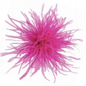 Amarantna broška z marabujo in perjem noja