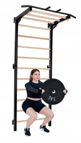 PowerWood Basic drsna lestev + palica za vlečenje pelltech