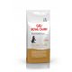  Royal Canin Pro Kitten Maine Coon 14 kg za mačje mladiče