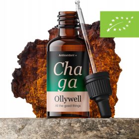   Ekstrakt Chaga Ollywell: Premium naravna obramba z antioksidanti