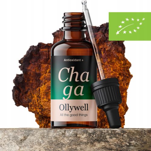 Ekstrakt Chaga Ollywell: Premium naravna obramba z antioksidanti