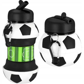 Bidon za vodo KRONOS Cort 520 ml, večbarvni