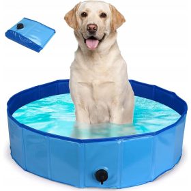LAHKI IN ZLOŽLJIV PASJI BAZEN, 80x20 cm