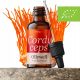 Cordyceps - Energijski Dvig in Podpora Imunosti z Ekstraktom Premium