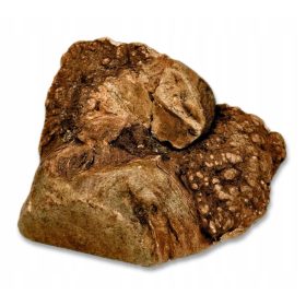 Gryzak za pse - korenina šipka L [300-500g] NARAVNO trd