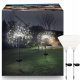 2X SOLARNA DEKORATIVNA VRTNA SVETILKA DANDELERS 150 LED