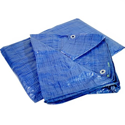 Mrazoodporna zaščitna ponjava 6x12m, modra, 65g/m2