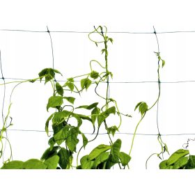 Vzpenjalna mreža Plantina za rastline 2x50m