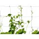 Vzpenjalna mreža Plantina za rastline 2x50m