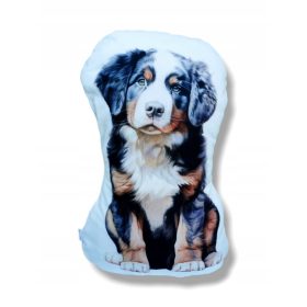 Ljubki vzglavnik Bernski planšar