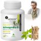 Ashwagandha Aliness Natural 9% - 100 kapsul za večjo vitalnost in protistresno delovanje