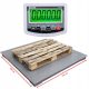 Platformna tehtnica Sensorwag 5000 kg x 500 g