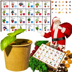   ADVENTNI KOLEDAR Rastline za gojenje DIY set 24 škatel Darilo Božič