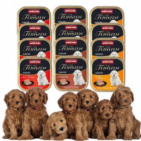   Animonda Vom Feinsten Junior Mokra Hrana za Mladiče Mešanih Okusov 150g*12kos