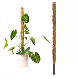  Podporniki za rastline 100 cm 1 kos.