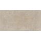 Spazio Carara Mat 120x60 Gres Szkliwiony 1,44m2 | Tristis 000226
