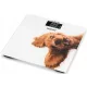  Kopalniška tehtnica Zelmer ZBS1010