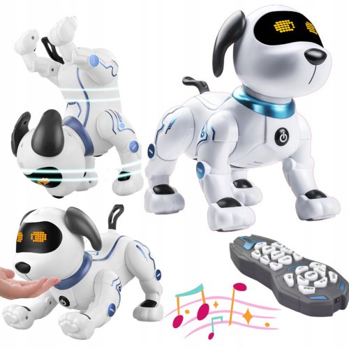 Robopojec