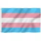  Trans Pride Bi vrtna zastavica