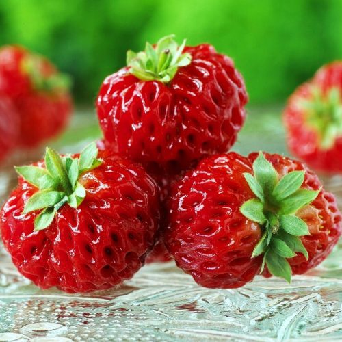 Sadilni material jagode Malina Framberry