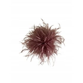 Broška iz čokoladnega perja iz marabuja