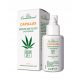 Negovalni Serum za Las in Lasnišče z Kofeinom Capillus