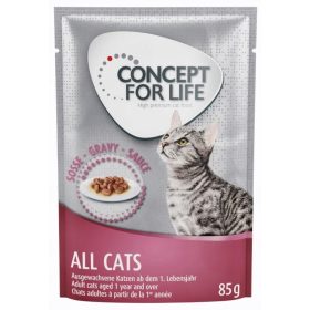 Konzerva za mačke Concept for Life v omaki 85g