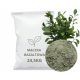 RD Stone bazaltna moka v prahu 24,5 kg