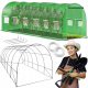 Tunel za rastline 18 m² 600 x 300 cm zelen