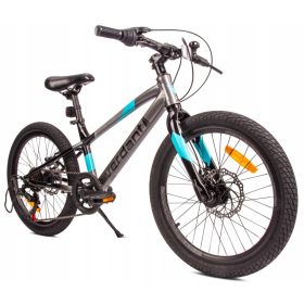   20-palčno otroško gorsko kolo MTB Shimano 6 prestav Verdant Alder