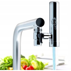  GEYSER Water Filters Euro 3000 l filter