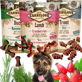   Carnilove Okusni prigrizki za pse - Jagnjetina z brusnicami 200 g