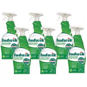 Ludwik 6x Univerzalna čistilna pena Limeta 0,75l
