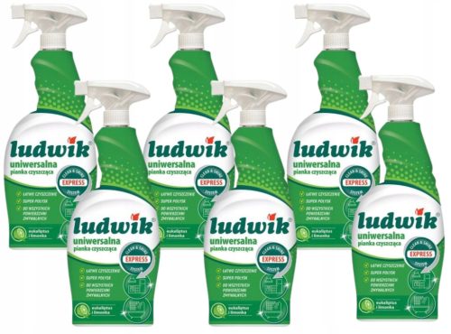 Ludwik 6x Univerzalna čistilna pena Limeta 0,75l