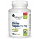 Maślan Wapnia ButiShield™ 550 mg: Brez Dodanega Natrija za Zdravo Prebavo