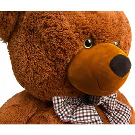 Veliki plišasti medvedek za otroke 160/200 cm