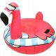 Inflatable Snow Sled with Handles Winter Toy for Children