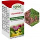 FitoPlant 722 SL Fungicid za iglavce 0,1l