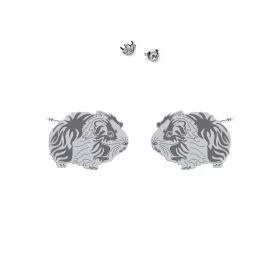    Srebrni uhani morskega prašička 925, darilo, ženski nakit, POSVETILO