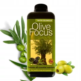   Optimized Name: Tekoče gnojilo za oljke Growth Technology Olive Focus 1L

Optimized Description: Tekoče gnojilo Olive Focus 1L je idealno uravnoteženo hranilno sredstvo za vse vrste oljčnih dreves. Vs