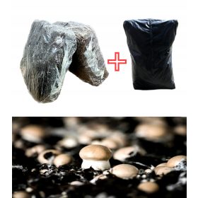  Micelij za gojenje rjavih gob, Kumi set