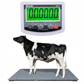 Platforma tehtnica Sensorwag 3000 kg x 500 g