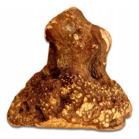 Gryzak za pse - korenina brina XL [500-750g] naravno trda