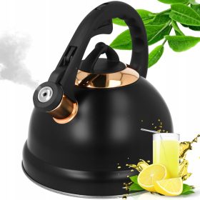 Veliki čajnik Brunbeste 2,5 L za plinsko indukcijo