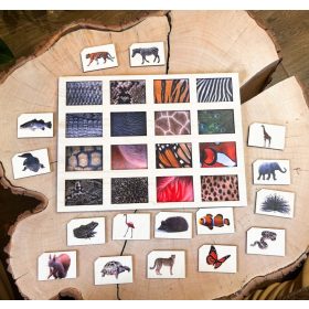 Prepoznaj žival, Montessori uganke, logično razmišljanje