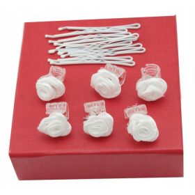 SET PRIČESKIH OKRASKOV ZA LASE, BELA BARVA, 16 KOSOV