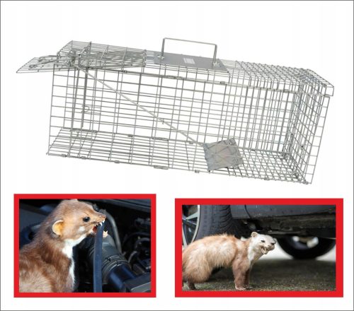 KLOP za mačke, kune, miši in podgane, gozdne živali