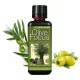 Oljčno gnojilo OLIVE FOCUS 300 ml - Growth Technology