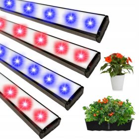 GROW set za gojenje rastlin LUMI FLORA 1000 W